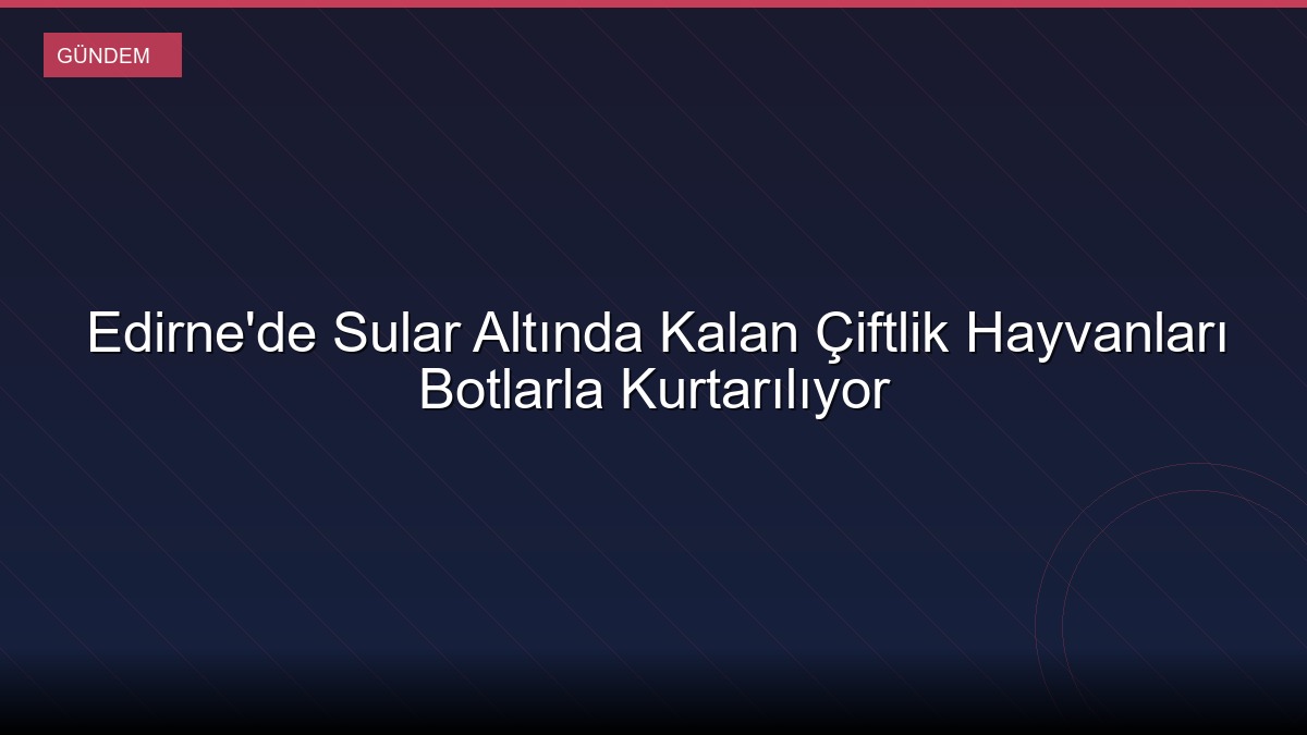 Edirne'de Sular Altında Kalan Çiftlik Hayvanları Botlarla Kurtarılıyor