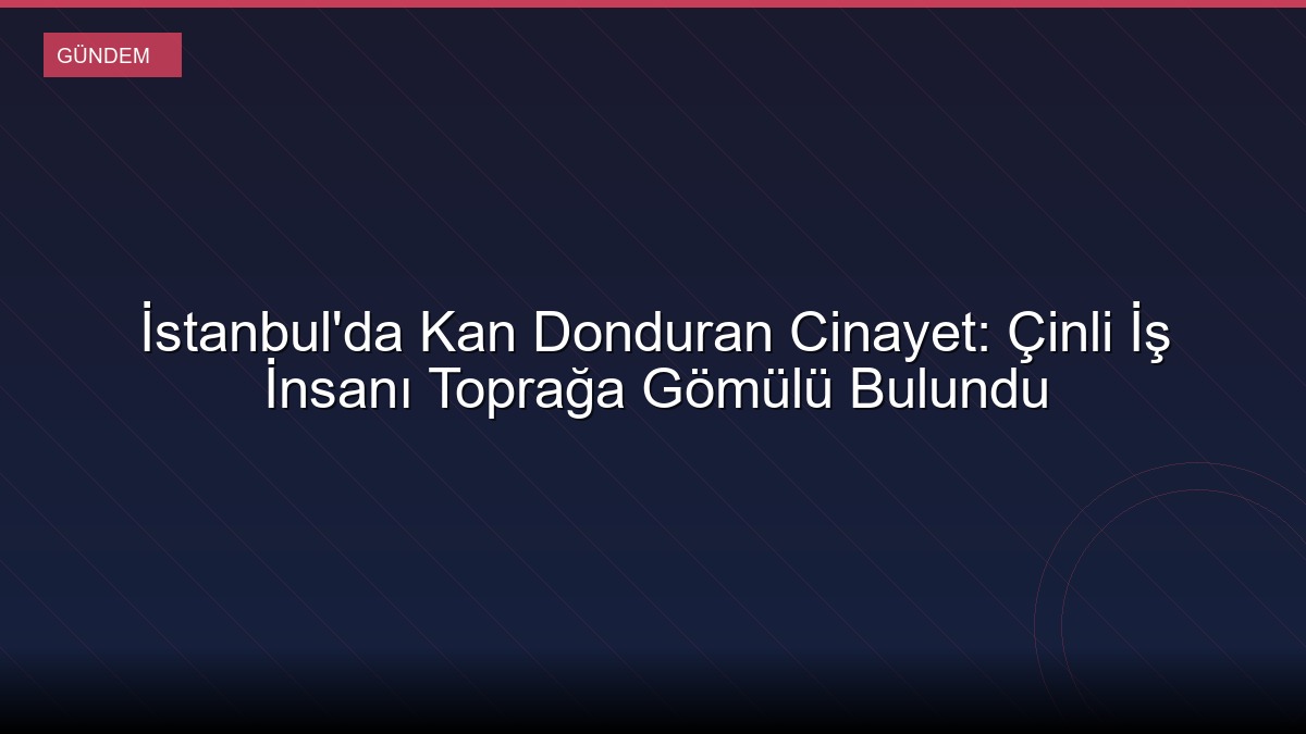 İstanbul'da Kan Donduran Cinayet: Çinli İş İnsanı Toprağa Gömülü Bulundu