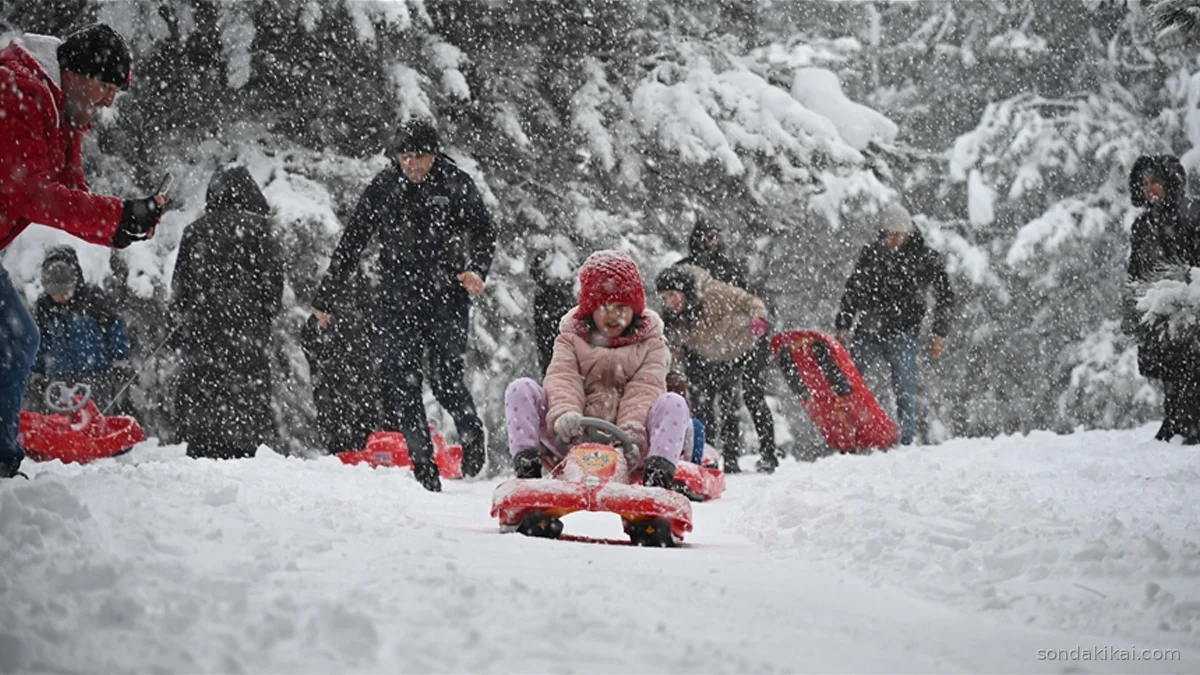 Kar Esareti Eğitimi Felç Etti: Ordu ve Gümüşhane'de Okullar Tatil
