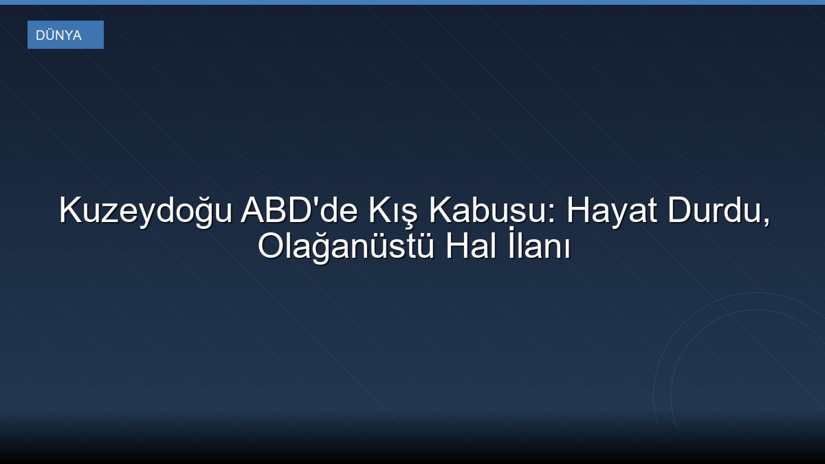 Kuzeydoğu ABD'de Kış Kabusu: Hayat Durdu, Olağanüstü Hal İlanı