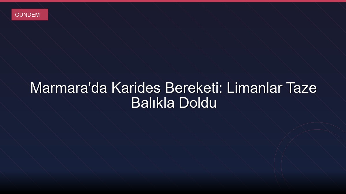 Marmara'da Karides Bereketi: Limanlar Taze Balıkla Doldu