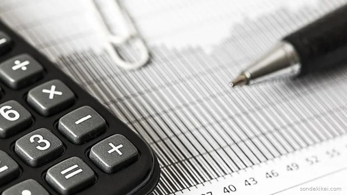 Milyonları İlgilendiren Kritik Dönem Başladı: Gelir Vergisi Beyannamesi