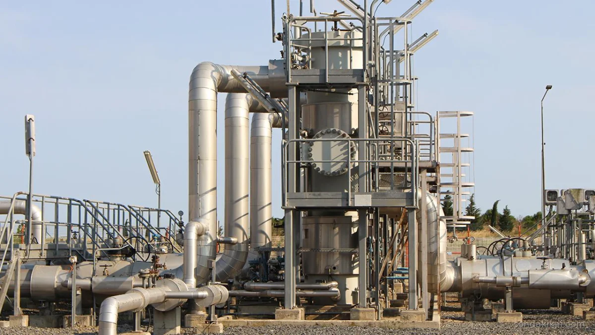 Türkiye'nin Doğal Gaz Güvenliği İçin Kapsamlı Seferberlik: BOTAŞ'tan Güvence